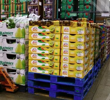 Food Processing & Production Lines