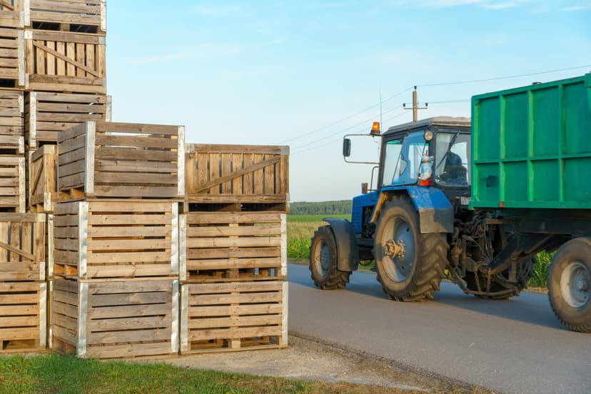 10 Things to Keep in Mind Before Buying Wooden Shipping Crates  - Container Exchanger