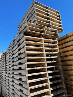 Wood Pallets For Sale: NEW 54x38x4.5 4-WAY PALLET NON HEAT TREATED In Michigan - image  3