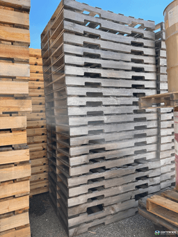 Wood Pallets For Sale: NEW 54x38x4.5 4-WAY PALLET NON HEAT TREATED In Michigan - image  1