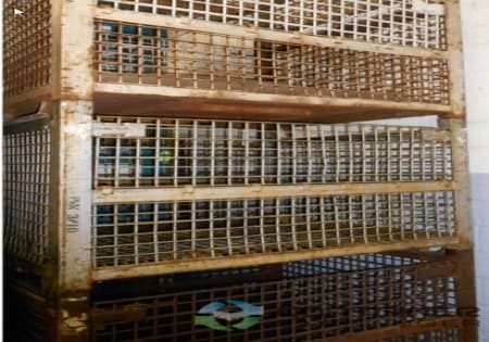 Wire Baskets For Sale: Used 53x48x38 ZE-13 Style Wire Baskets with Drop Gates In Michigan - image 3 Wire Baskets For Sale: Used 53x48x38 ZE-13 Style Wire Baskets with Drop Gates In Michigan - image 3