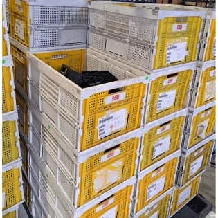 Stack & Nest Totes For Sale: Used 24x16x12 Collapsible Totes Michigan In Michigan - image 2 Stack & Nest Totes For Sale: Used 24x16x12 Collapsible Totes Michigan In Michigan - image 2