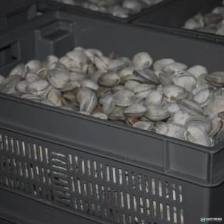 Stack & Nest Totes For Sale: New 24x16x8 Vented Stack and Nest Container Ontario In Ontario - image 2 Stack & Nest Totes For Sale: New 24x16x8 Vented Stack and Nest Container Ontario In Ontario - image 2