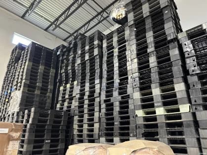 Plastic Pallets For Sale: Used 43x43x5 Plastic Pallets Indiana In Indiana - image 3 Plastic Pallets For Sale: Used 43x43x5 Plastic Pallets Indiana In Indiana - image 3