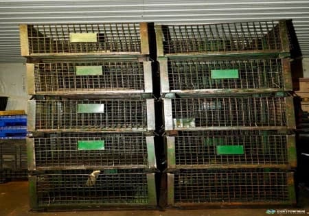 Wire Baskets For Sale: Used Heavy Duty 41x33x24h” Wire Mesh Bulk Containers In Ontario - image 5 Wire Baskets For Sale: Used Heavy Duty 41x33x24h” Wire Mesh Bulk Containers In Ontario - image 5