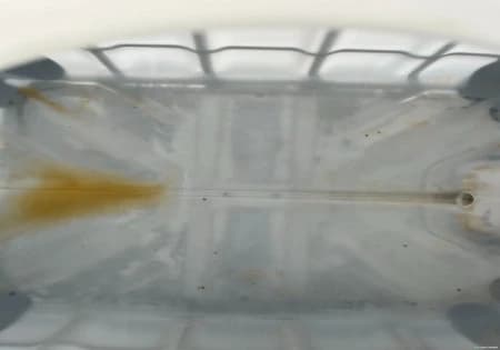 IBC Totes For Sale: Used 275 Gallon IBC Totes Previously Held Food Grade Alberta In Alberta - image 8 IBC Totes For Sale: Used 275 Gallon IBC Totes Previously Held Food Grade Alberta In Alberta - image 8