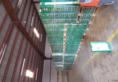 Stack & Nest Totes For Sale: 24x15x4 Stacking totes w/ removable inserts In Texas - image 3 Stack & Nest Totes For Sale: 24x15x4 Stacking totes w/ removable inserts In Texas - image 3