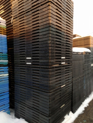 Plastic Pallets For Sale: Used 48x40x5.5 Nestable Shipping Pallets In Ontario - image 2 Plastic Pallets For Sale: Used 48x40x5.5 Nestable Shipping Pallets In Ontario - image 2