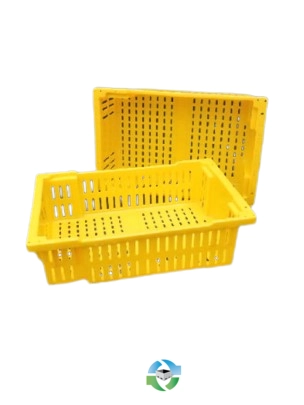 Food Totes & Trays For Sale: New 24x16x7 Harvest Trays Stackable Nestable and Ventilated Georgia In Georgia - image 2 Food Totes & Trays For Sale: New 24x16x7 Harvest Trays Stackable Nestable and Ventilated Georgia In Georgia - image 2