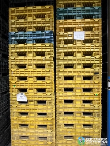 Pallet Containers For Sale: Used 64.5x48x25 Collapsible 2 Hatch Bulk Containers Indiana In Indiana - image 3 Pallet Containers For Sale: Used 64.5x48x25 Collapsible 2 Hatch Bulk Containers Indiana In Indiana - image 3