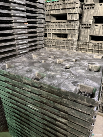 Plastic Pallets For Sale: Used 48x45x5 Heavy Duty Nestable Plastic Pallets South Carolina In South Carolina - image 2 Plastic Pallets For Sale: Used 48x45x5 Heavy Duty Nestable Plastic Pallets South Carolina In South Carolina - image 2