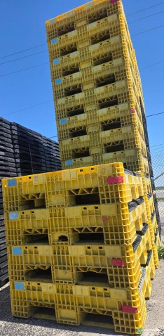 Pallet Containers For Sale: Mixed Color Reconditioned 56x48x34 (2) Drop Doors In Ohio - image 3 Pallet Containers For Sale: Mixed Color Reconditioned 56x48x34 (2) Drop Doors In Ohio - image 3