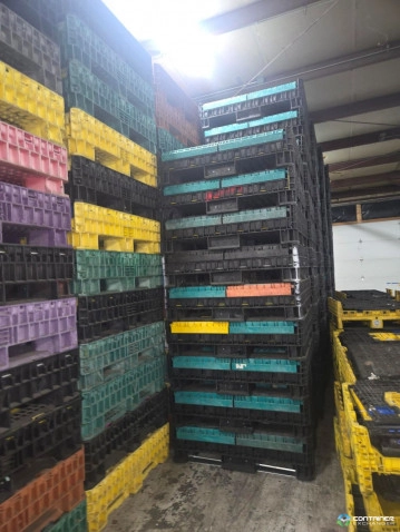 Pallet Containers For Sale: Reconditioned Mixed Color 45x48x34 (2) Drop Doors In Ohio - image 4 Pallet Containers For Sale: Reconditioned Mixed Color 45x48x34 (2) Drop Doors In Ohio - image 4