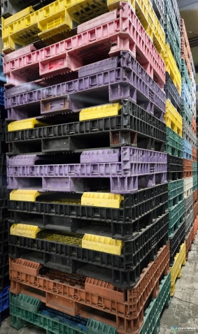 Pallet Containers For Sale: Reconditioned 45x48x25 Mixed Color Pallet Container with 2 Drop Doors Ohio In Ohio - image 2 Pallet Containers For Sale: Reconditioned 45x48x25 Mixed Color Pallet Container with 2 Drop Doors Ohio In Ohio - image 2