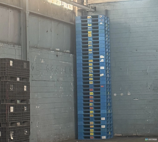 Plastic Pallets For Sale: Used 48x42x6 Stackable Plastic Pallets Michigan In Michigan - image 4 Plastic Pallets For Sale: Used 48x42x6 Stackable Plastic Pallets Michigan In Michigan - image 4