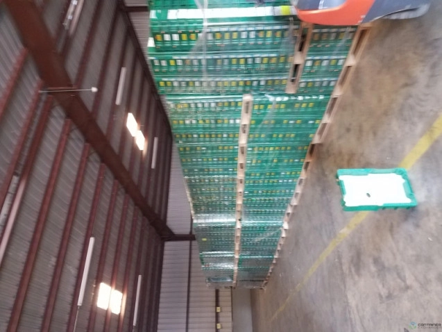 Stack & Nest Totes For Sale: 24x15x4 Stacking totes w/ removable inserts In Texas - image 3 Stack & Nest Totes For Sale: 24x15x4 Stacking totes w/ removable inserts In Texas - image 3