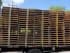 Wood Pallets For Sale: Used AAA Grade 41x37 Wood Pallets 4-Way HT Texas In Texas - image 3 Wood Pallets For Sale: Used AAA Grade 41x37 Wood Pallets 4-Way HT Texas In Texas - image 3