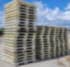 Plastic Pallets For Sale: Used 48x42x5 Heavy Duty Plastic Pallets with Solid Top and Two Entry Kentucky In Kentucky - image 3 Plastic Pallets For Sale: Used 48x42x5 Heavy Duty Plastic Pallets with Solid Top and Two Entry Kentucky In Kentucky - image 3