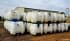 IBC Totes For Sale: Unrinsed 120 Gallon Shuttle Tank Texas In Texas - image 7 IBC Totes For Sale: Unrinsed 120 Gallon Shuttle Tank Texas In Texas - image 7