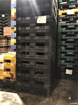 Pallet Containers For Sale: Used 57x48x34 Collapsible Plastic Pallet Containers with 2 Drop Doors- Black Indiana In Indiana - image  2 Pallet Containers For Sale: Used 57x48x34 Collapsible Plastic Pallet Containers with 2 Drop Doors- Black Indiana In Indiana - image  2
