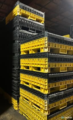 Pallet Containers For Sale: Used 45x48x39 Collapsible Bulk Containers 2 Drop Doors South Carolina In South Carolina - image  2 Pallet Containers For Sale: Used 45x48x39 Collapsible Bulk Containers 2 Drop Doors South Carolina In South Carolina - image  2