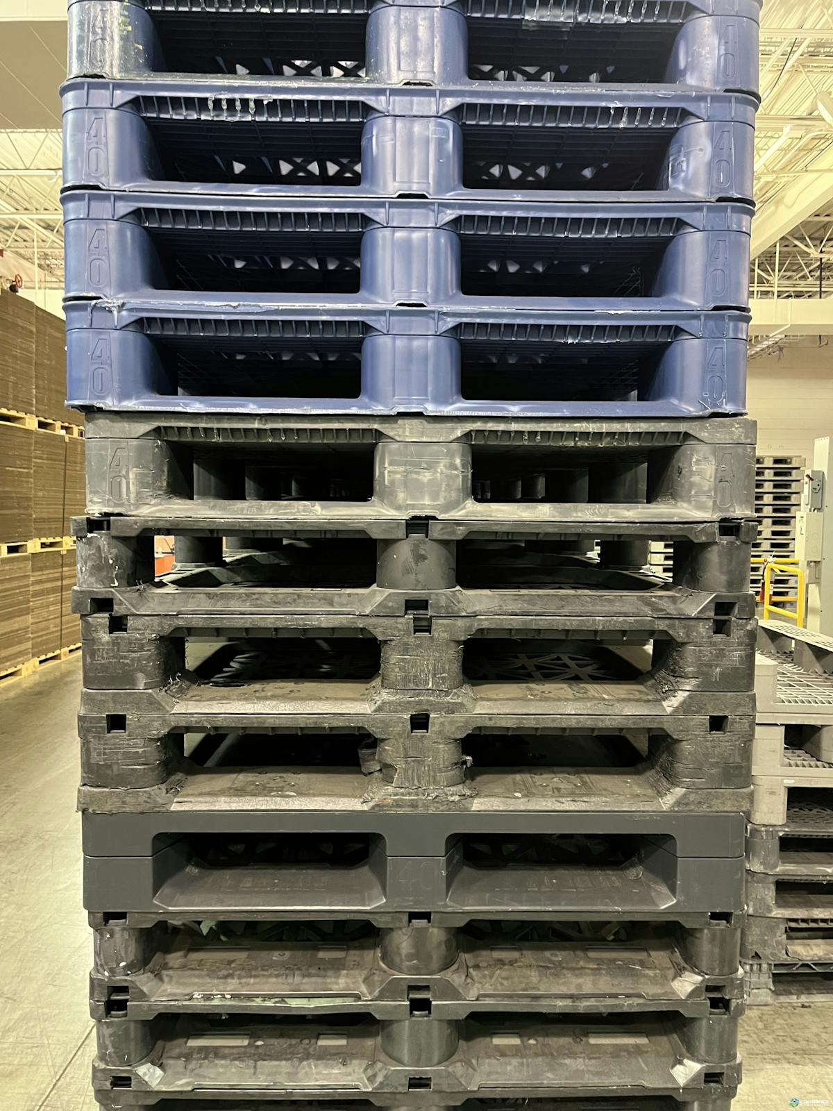 Plastic Pallets For Sale: Used 48x40 Heavy Duty Plastic Pallets Mixed colors Massachusetts In Massachusetts - image 3