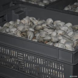 Stack & Nest Totes For Sale: New 24x16x8 Vented Stack and Nest Container Ontario In Ontario - image 2 Stack & Nest Totes For Sale: New 24x16x8 Vented Stack and Nest Container Ontario In Ontario - image 2