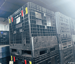Pallet Containers For Sale: Used 30x32x34 Collapsible Bulk Containers w/ Drop Doors – Ontario In Ontario - image  3 Pallet Containers For Sale: Used 30x32x34 Collapsible Bulk Containers w/ Drop Doors – Ontario In Ontario - image  3