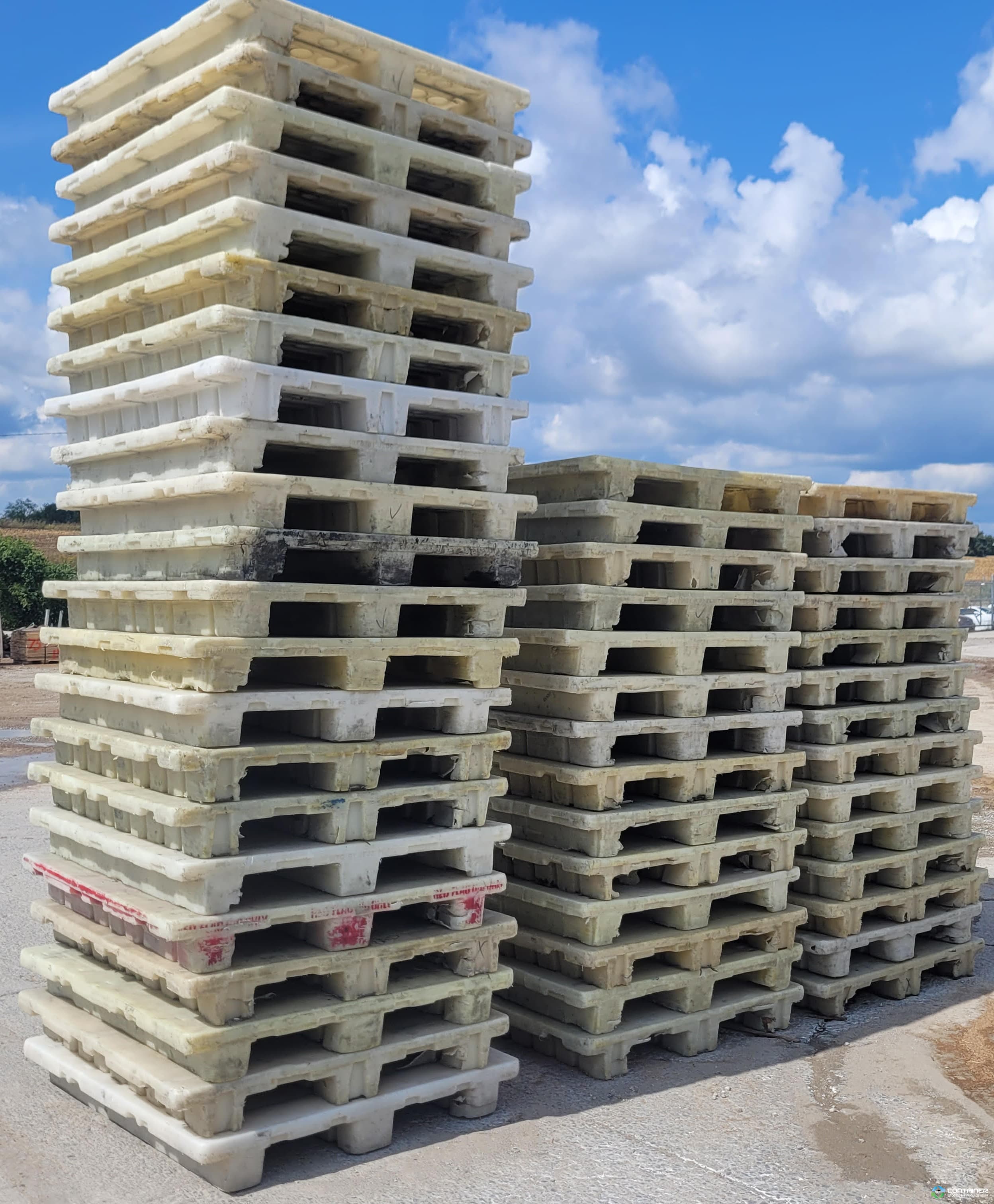 Plastic Pallets For Sale: Used 48x42x5 Heavy Duty Plastic Pallets with Solid Top and Two Entry Kentucky In Kentucky - image 3 Plastic Pallets For Sale: Used 48x42x5 Heavy Duty Plastic Pallets with Solid Top and Two Entry Kentucky In Kentucky - image 3