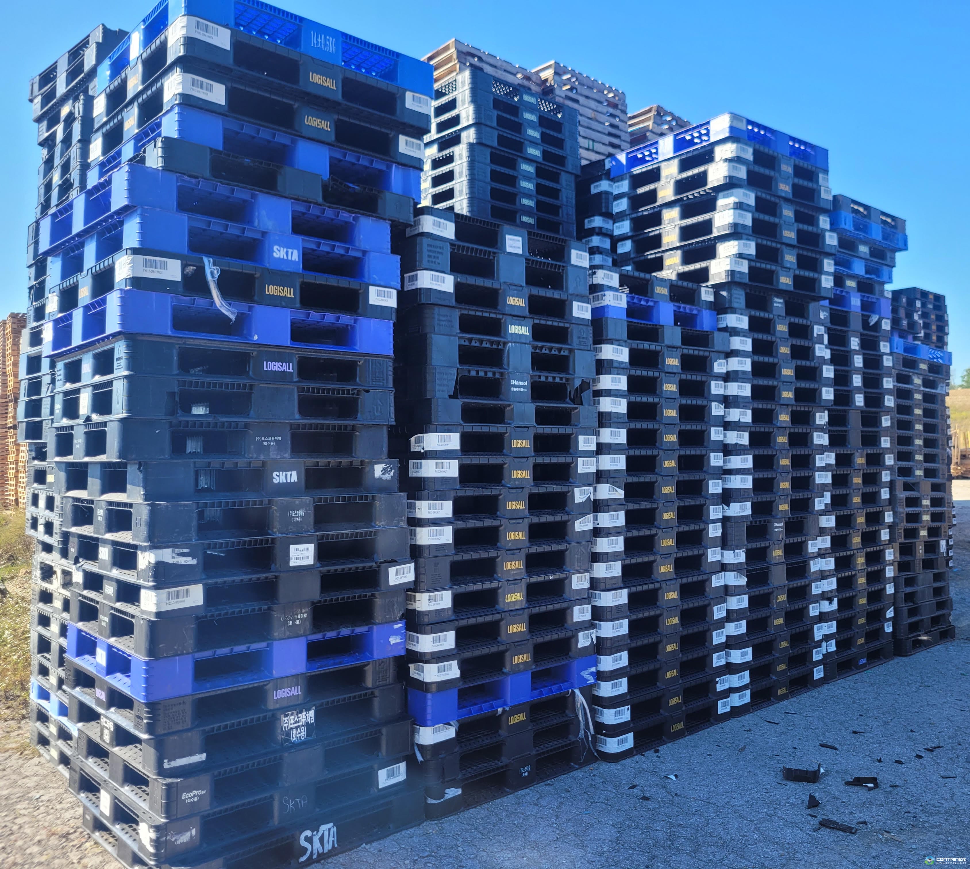 Plastic Pallets For Sale: Used 43x43x5 Plastic Pallets Kentucky In Kentucky - image 4 Plastic Pallets For Sale: Used 43x43x5 Plastic Pallets Kentucky In Kentucky - image 4