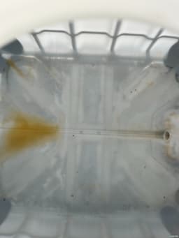 IBC Totes For Sale: Used 275 Gallon IBC Totes Previously Held Food Grade Alberta In Alberta - image 8 IBC Totes For Sale: Used 275 Gallon IBC Totes Previously Held Food Grade Alberta In Alberta - image 8