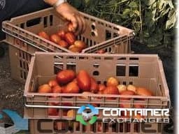 Food Totes & Trays For Sale: New 20x14x11 Commissary Case- Stackable New York In New York - image 3 Food Totes & Trays For Sale: New 20x14x11 Commissary Case- Stackable New York In New York - image 3